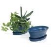 975  oval biodegradable tray blue pe05 1b handles bowls