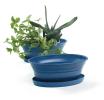 975  oval biodegradable tray blue pe05 1b handles bowls