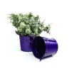 5  tin pot translucent purple by03 1tprp wholesale metal containers