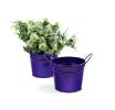 5  tin pot translucent purple by03 1tprp wholesale metal containers