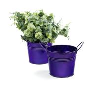 5  tin pot translucent purple by03 1tprp wholesale metal containers