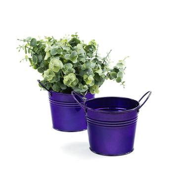 5  tin pot translucent purple by03 1tprp wholesale metal containers
