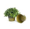 65  round tub cove antique yellow by216 1y wholesale