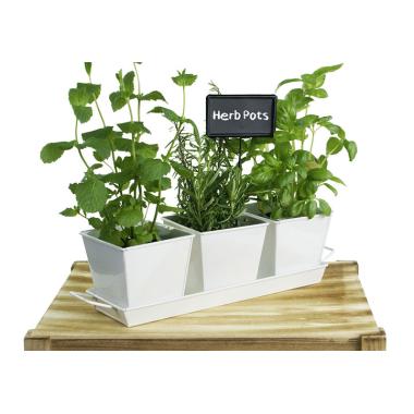 tin herb pot white by42 1w wholesale metal containers pails pots rectangle