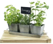 vintage herb container by42 1vin wholesale metal containers pails pots rectangle square