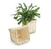 small willow square top deep tray sewn lining pw67 1sm