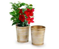 5  metal bucket tall ribbed gold finish by124 1srg wholesale pot covers