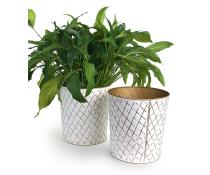 11  metal tall bucket white gold diamond pattern by123 1dpg wholesale