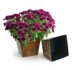 75  ribbed sq tin pot cover brown ty97 1br wholesale