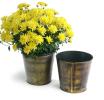75  tin pot cover brushed brass 6  by441 1brs wholesale