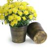 75  tin pot cover brushed brass 6  by441 1brs wholesale
