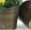 75  tin pot cover brushed brass 6  by441 1brs wholesale