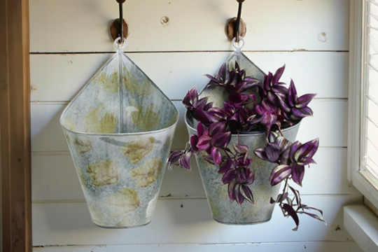 Wall Hangings