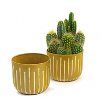 Solid Paisley Iron Bowl