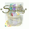 Wholesale Sinamay Packaging