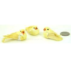 yellow finch jm12 12 wholesale craft items feathered mushroom birds 0