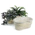 bamboo peanut shape white wash bo318 1w handles bowls trays