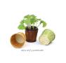 5  woodchipbamboo pot cover 3 color pd15 wholesale covers 0
