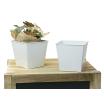 5 sq tin pot white by58 1w wholesale metal containers pails pots rect