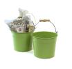 85  pail lime green by09 1lg wholesale metal containers pails pots large
