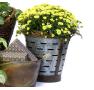 10 inch metal olive bucket deep vintage rustic by90 1 wholesale