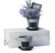 tin pot saucer vintage finish chalkboard by204 1vinch wholesale metal