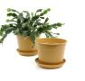 675  biodegradable pot tray orange pe03 1or wholesale basket containers