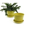 675  biodegradable pot tray yellow pe03 1y wholesale basket containers