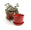 675  biodegradable pot tray red pe03 1r wholesale basket containers