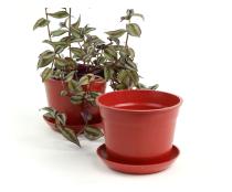 675  biodegradable pot tray red pe03 1r wholesale basket containers