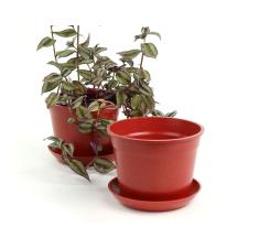 675  biodegradable pot tray red pe03 1r wholesale basket containers