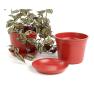 675  biodegradable pot tray red pe03 1r wholesale basket containers
