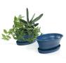 975  oval biodegradable tray blue pe05 1b handles bowls