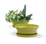 975  oval biodegradable tray yellow pe05 1y handles bowls