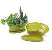 975  oval biodegradable tray yellow pe05 1y handles bowls
