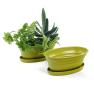 975  oval biodegradable tray yellow pe05 1y handles bowls
