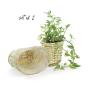 willow oval deep tray set 2 pw23 handles