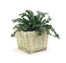 willow square top deep tray sewn lining pw67 1lg