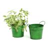 5  tin pot translucent green by03 1tgr wholesale metal containers pails