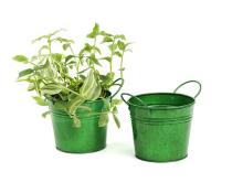 5  tin pot translucent green by03 1tgr wholesale metal containers pails