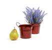 5  tin pot translucent red by03 1tr wholesale metal containers pails