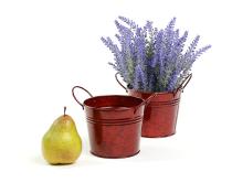 5  tin pot translucent red by03 1tr wholesale metal containers pails