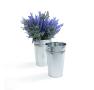 french bucket galvanized ring handles by885 1galv wholesale metal containers market