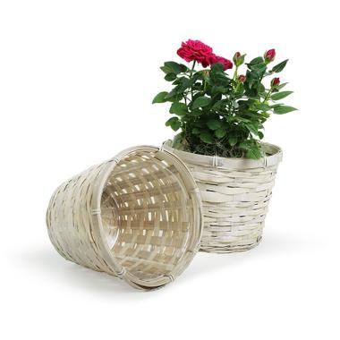 rattan pot cover whitewash 6  pr06 1w wholesale basket containers