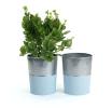 6  galvanized bucket tall ribbedblue base by127 1lb wholesale pot covers