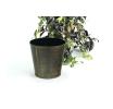 75  tin pot cover brushed brass 6  by441 1brs wholesale