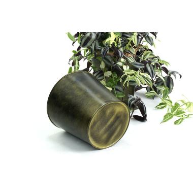 75  tin pot cover brushed brass 6  by441 1brs wholesale