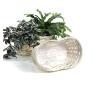 bamboo peanut shape white wash bo318 1w handles bowls trays