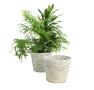 rattan pot cover 10  12  round pr10 1w wholesale basket