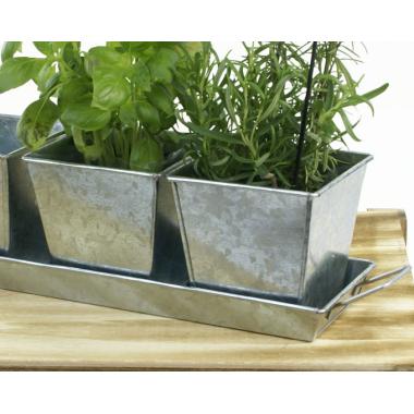 tin herb pot galvanized by42 1 wholesale metal containers pails pots rect